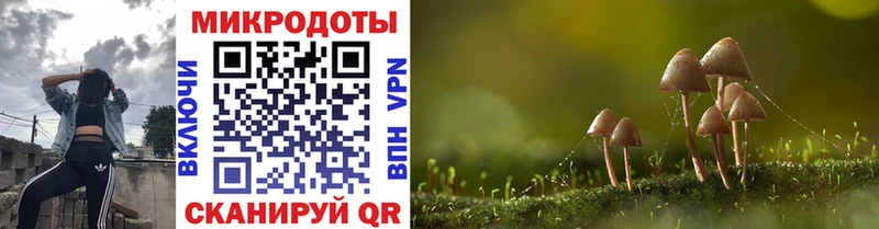 Галлюциногенные грибы Psilocybine cubensis Купить Муравленко